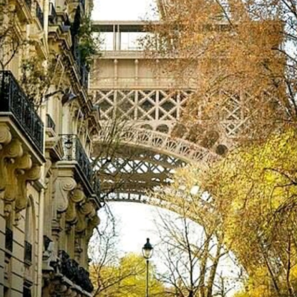 Meet your Posher, Victoria - Picture 1 of 1